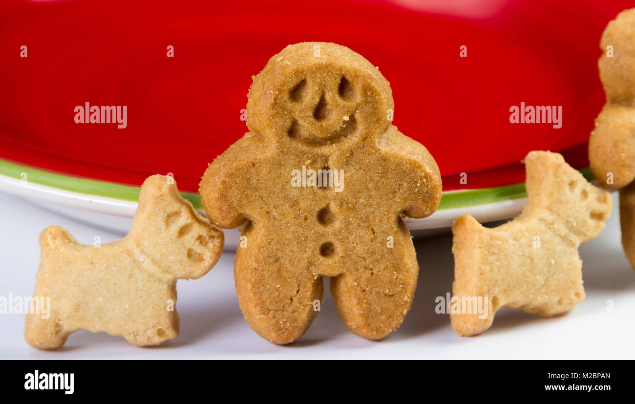 close up of a ginger bread man cookie with his scotty dog on a red plate Stock Photo