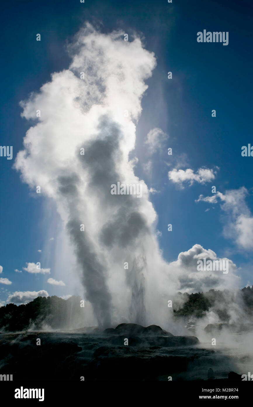 New Zealand, North Island, Rotorua, Te Puia thermal area. Pohutu geyser. Stock Photo