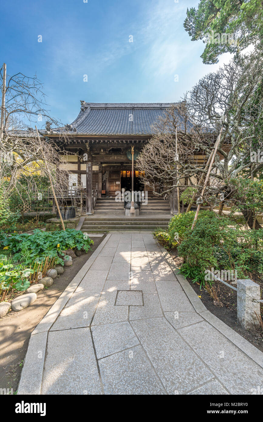 Kamakura, Japan - November 22, 2017 : Hondo (Main Hall) of Kinryuzan Shakuman-in Endon Hokai-ji Temple Hagidera 'bush-clover temple' it holds Importan Stock Photo