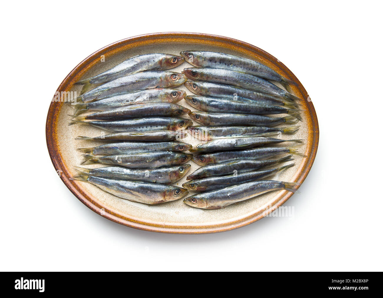 Raw sardines fish isolated on white background Stock Photo Alamy