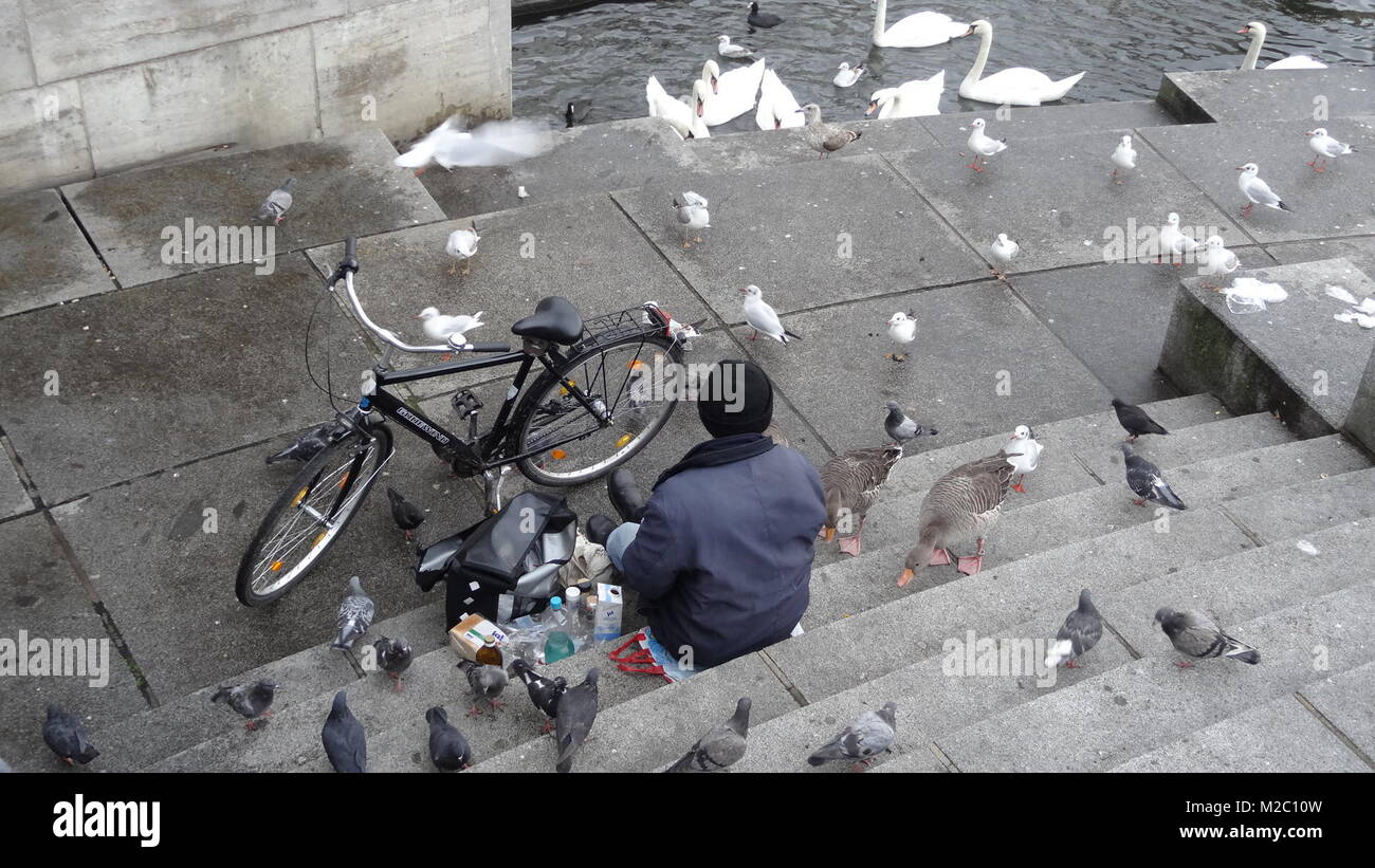 Ein Mann füttert die Tauben am Alster-Ufer von Hamburg / Deutschland / Germany Stock Photo