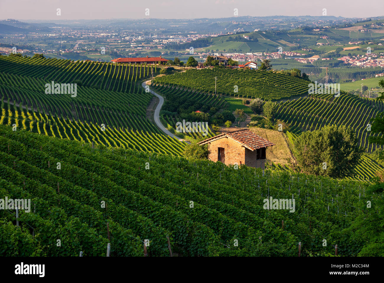 Small rural house among green vineyards of Barolo in Piedmont, Northern Italy. Stock Photo