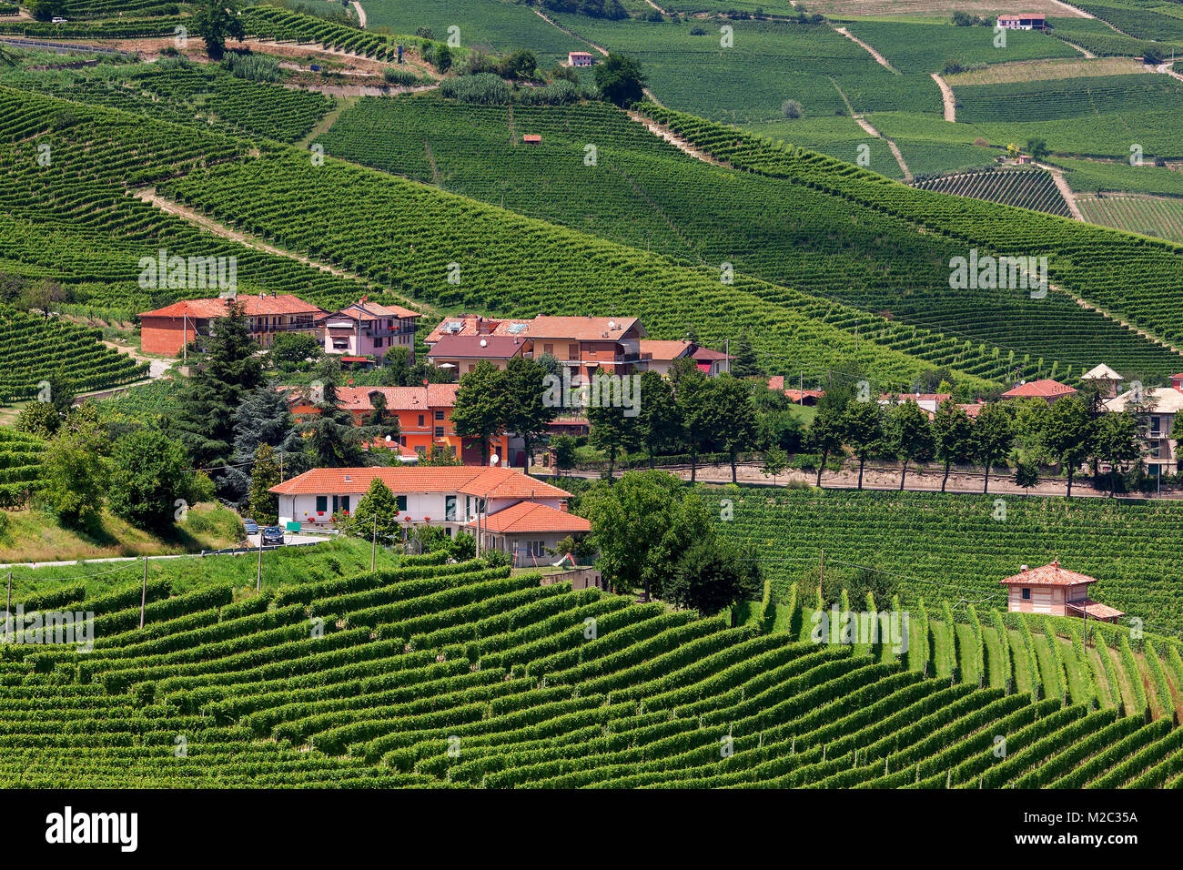 Small village among green vineyards in summer in Piedmont, Northern Italy. Stock Photo