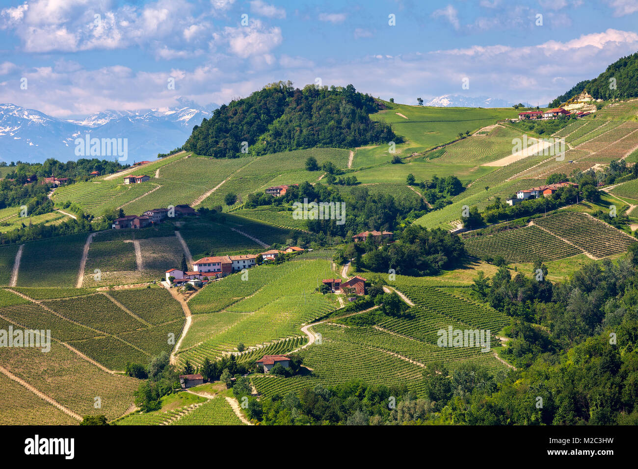 View of green vineyards and rural houses on the hills of Piedmont, Northern Italy. Stock Photo