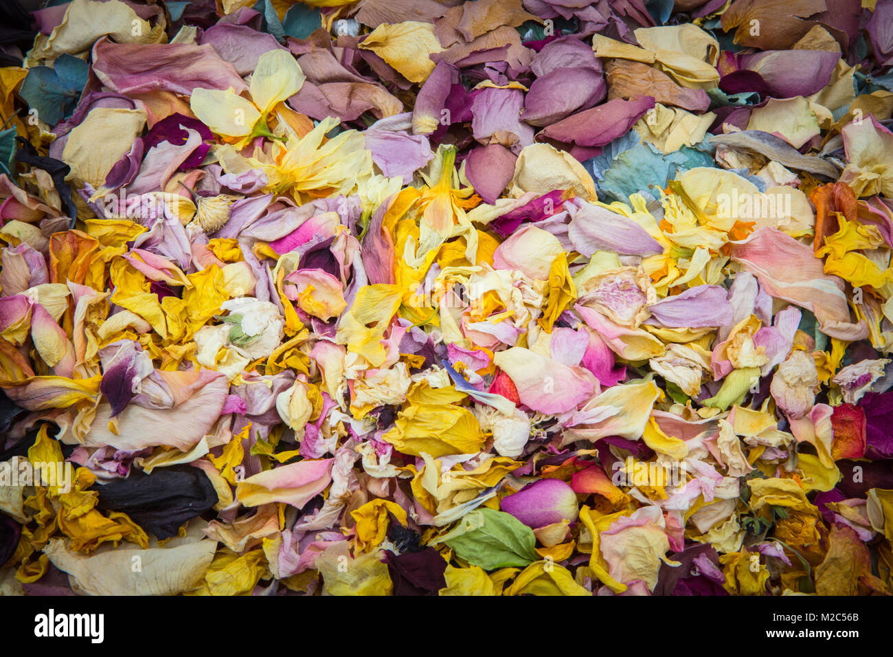 Dried flower petals, full frame, closeup Stock Photo Alamy — free download