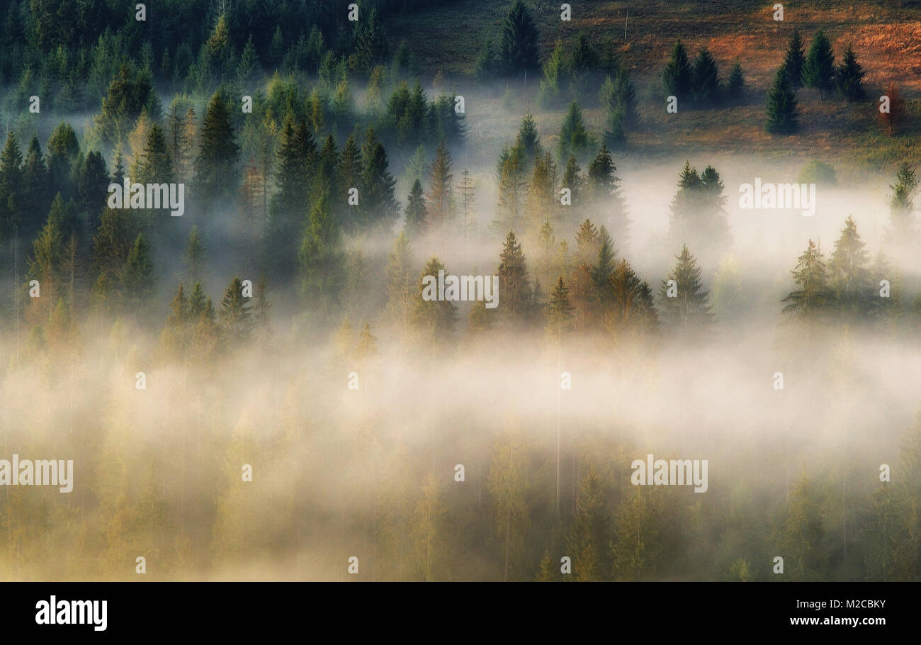 silhouettes of mountains. autumn morning in the Carpathian mountains. foggy dawn Stock Photo