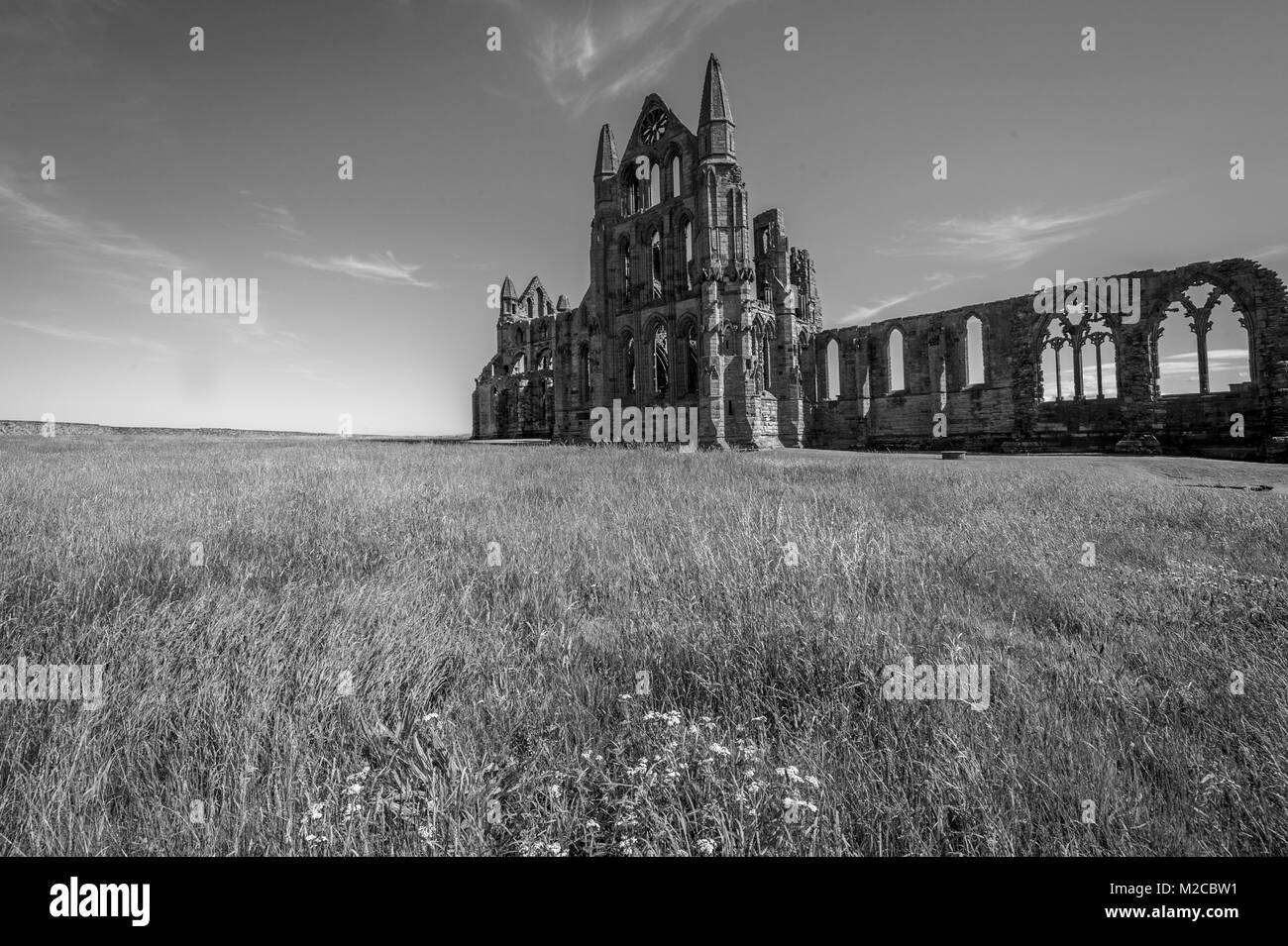 Ruins of Whitby Abbey stand alone in grassy field, Whitby, Yorkshire, UK Stock Photo