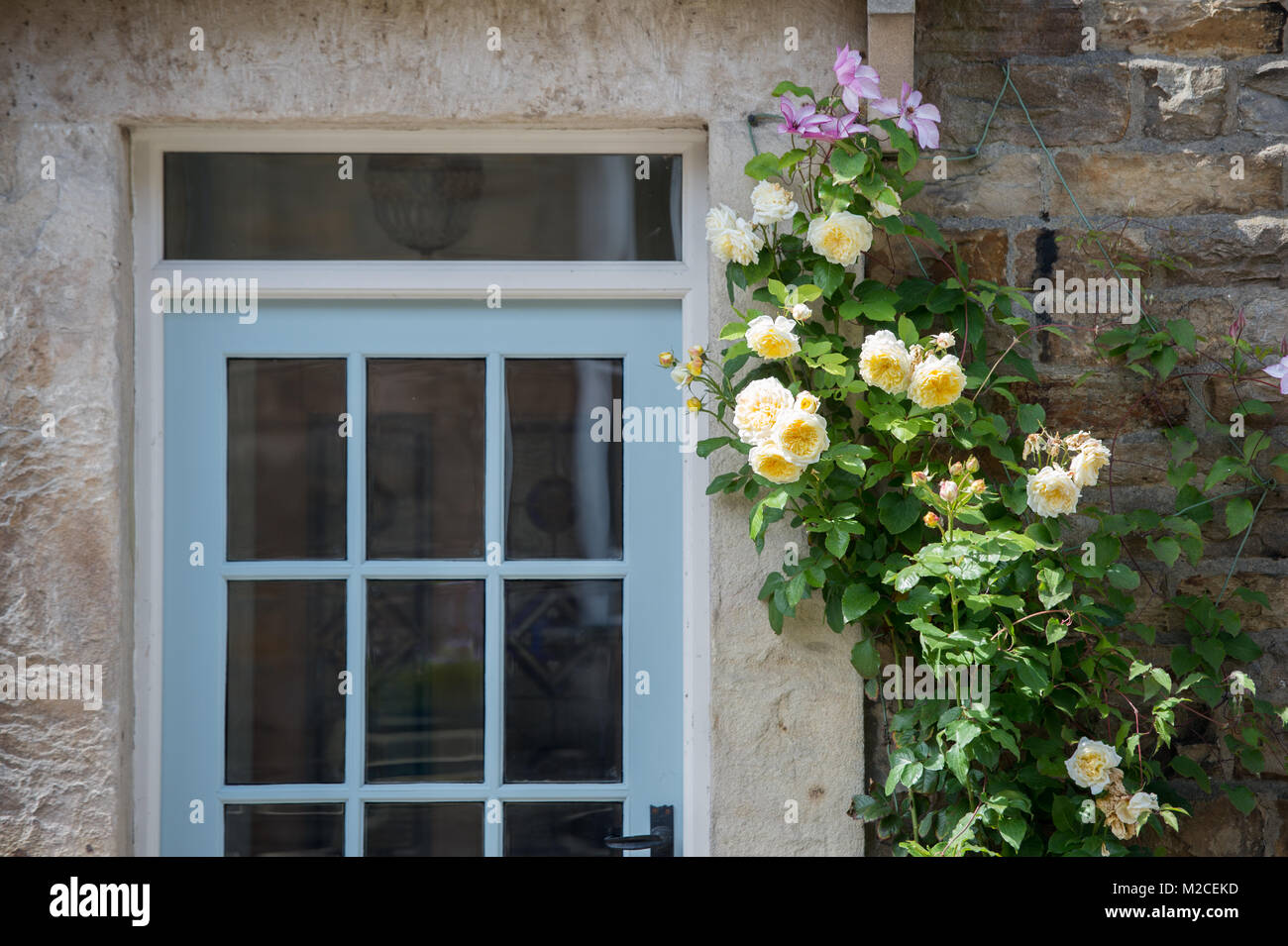 Roses grow on vine in doorway, Yorkshire Dales, UK Stock Photo Alamy