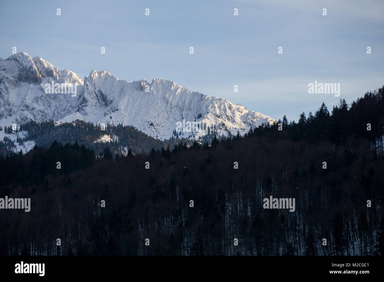 Leafless forest in the foreground with rugged mountain range in the background Stock Photo