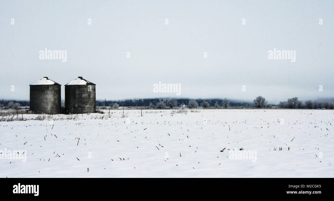 Two grain bins on a cold foggy morning., in Midwest Illinois United States of America. Photo taken in winter months. Stock Photo