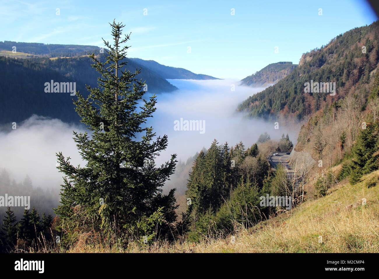 Wetterkapriolen: Während Teile des Breisgaus, des Höllentals und der Baar am Wochenende im Nebel versunken sind, öffnete sich den Besuchern des Hochschwarzwaldes ein herrlicher Ausblick auf das Panorama. Wie hier bei einer Anhöhe bei Breitnau (Landkreis Breisgau Hochschwarzwald) bot sich einer herrliche Fernsicht, darunter bettet sich der Nebel wie ein Wattebausch ins Tal. Bei Temperaturen von deutlich über zehn Grad Celsius luden zu einem Spaziergang oder einer Herbstwanderung in der Sonne ein. Stock Photo