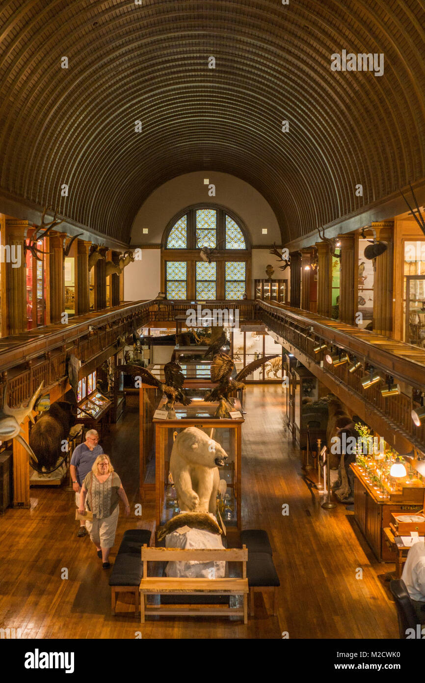 Fairbanks museum and St Johnsbury VT Stock Photo Alamy