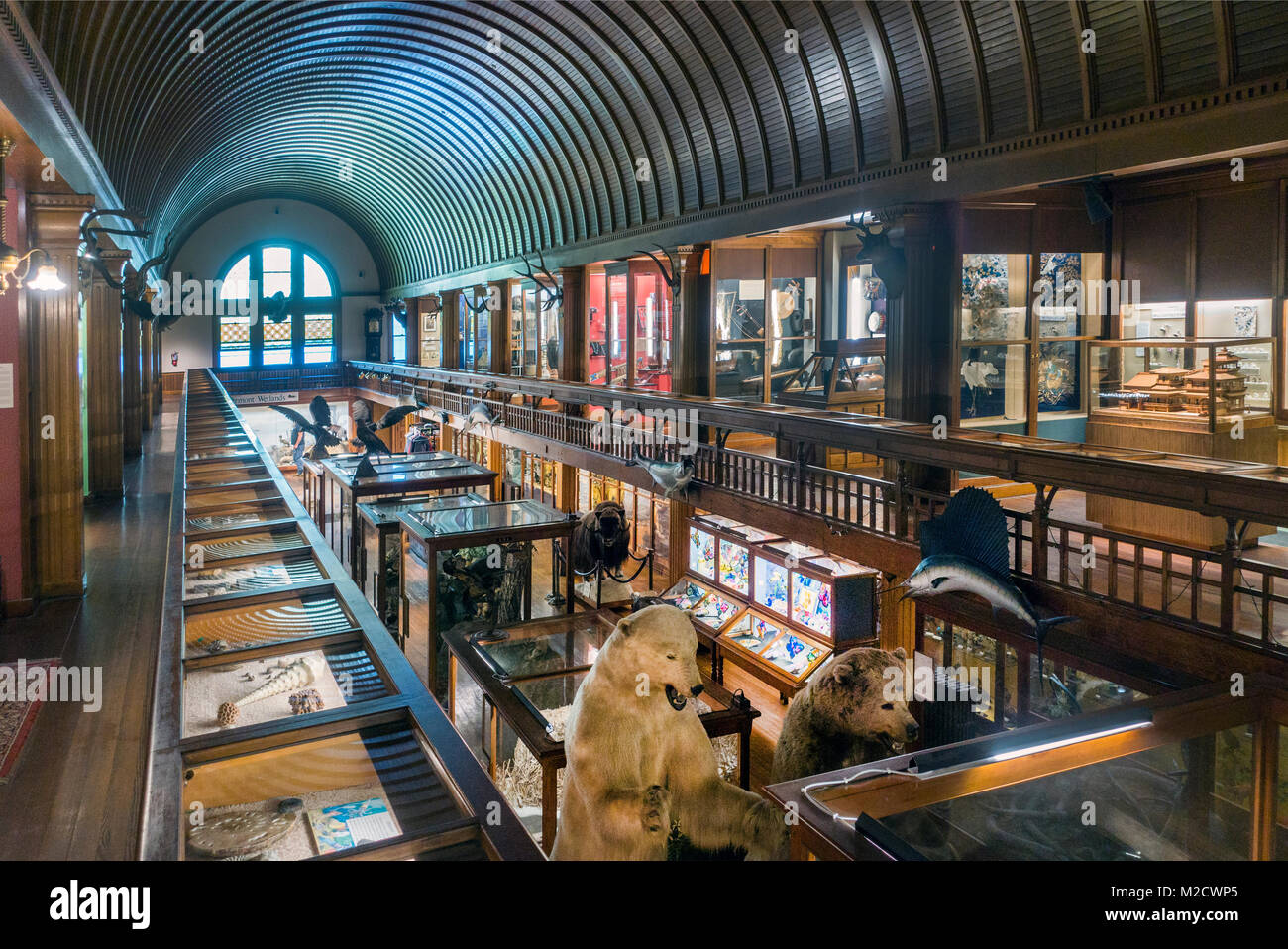 Fairbanks museum and Planetarium St Johnsbury VT Stock Photo - Alamy