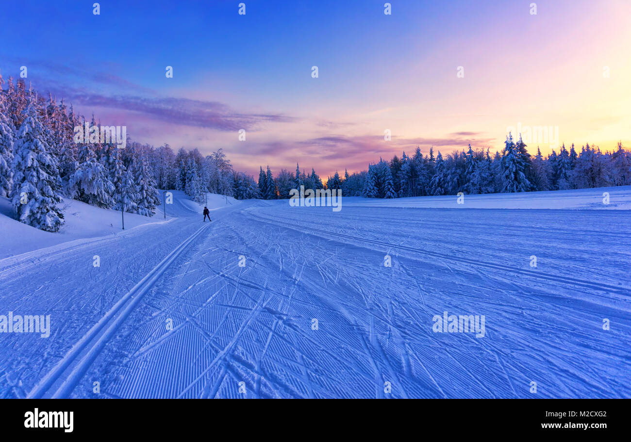 Sunset over the groomed cross country ski trail. Dramatic sky glowing by sunlight over the forest in background. Slovakia, Europe. Stock Photo