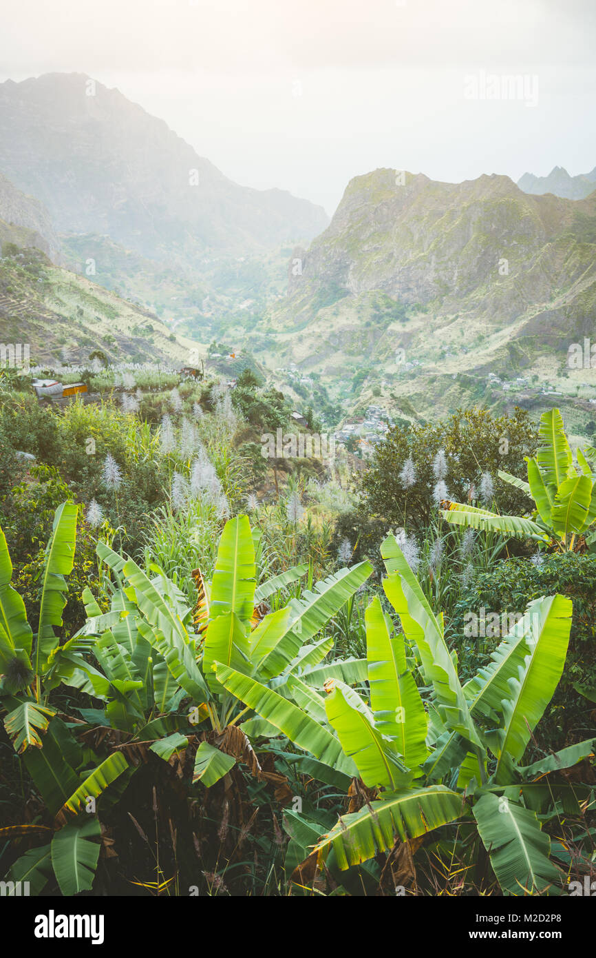 Landscape of banana and sugar cane plantation in front of the green mountains of the Paul Valley, on the island of Santo Antao, Cape Verde Stock Photo