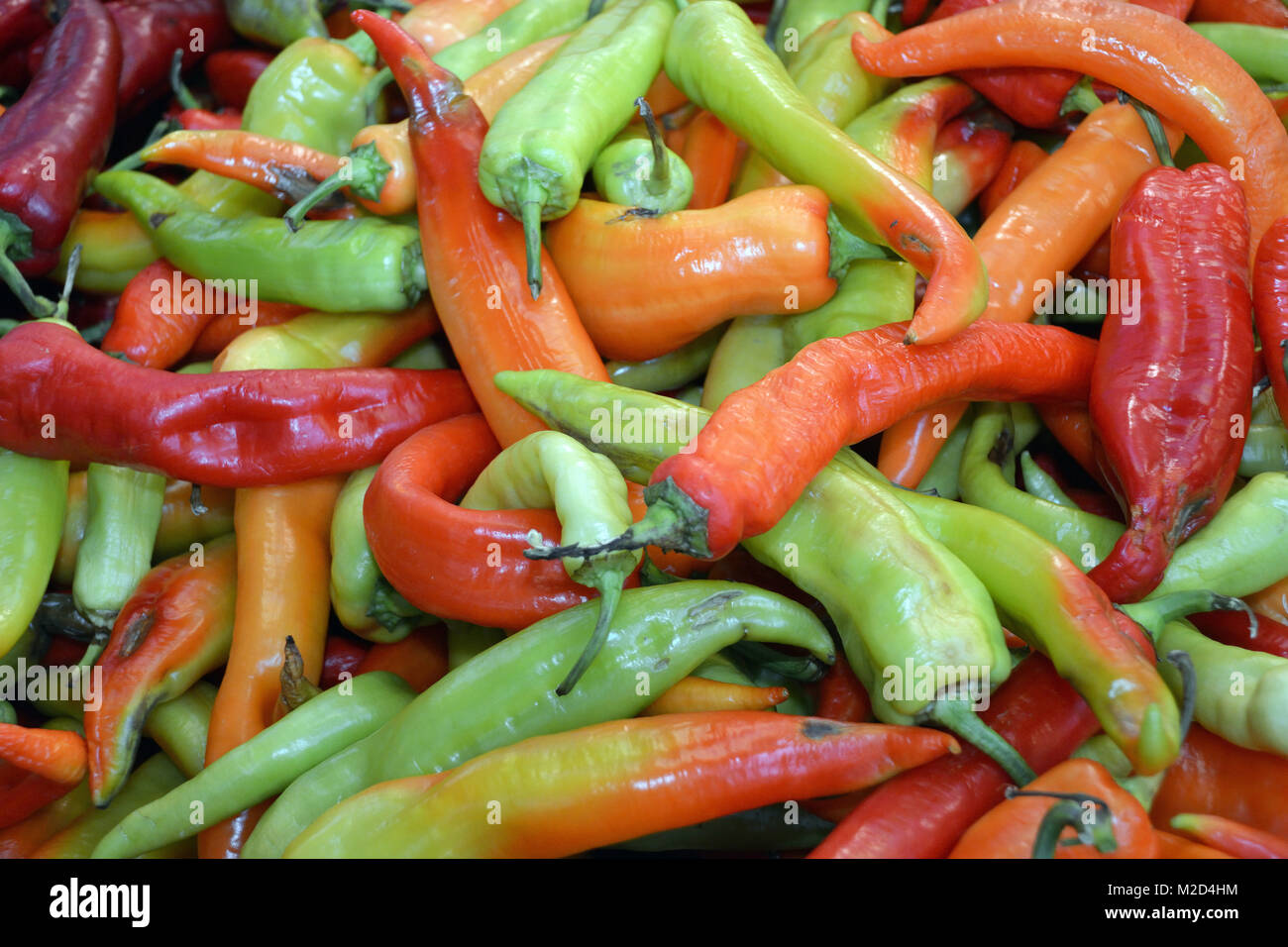 Paprika in the market hall of Budapest Hungary Stock Photo Alamy