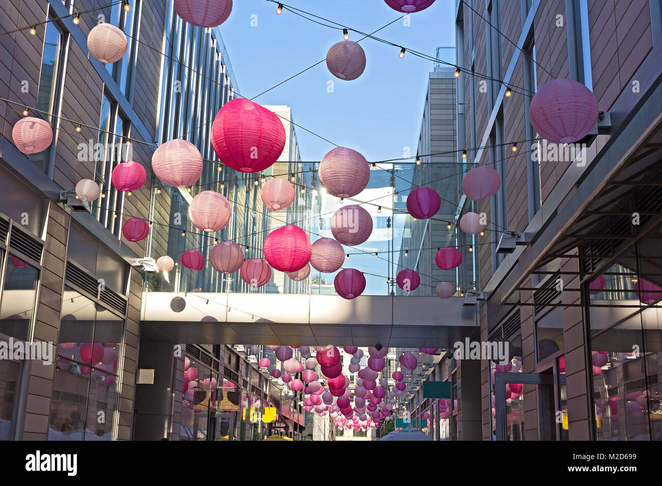 DC City Center festive spring atmosphere cherry blossom events in Washington DC, USA