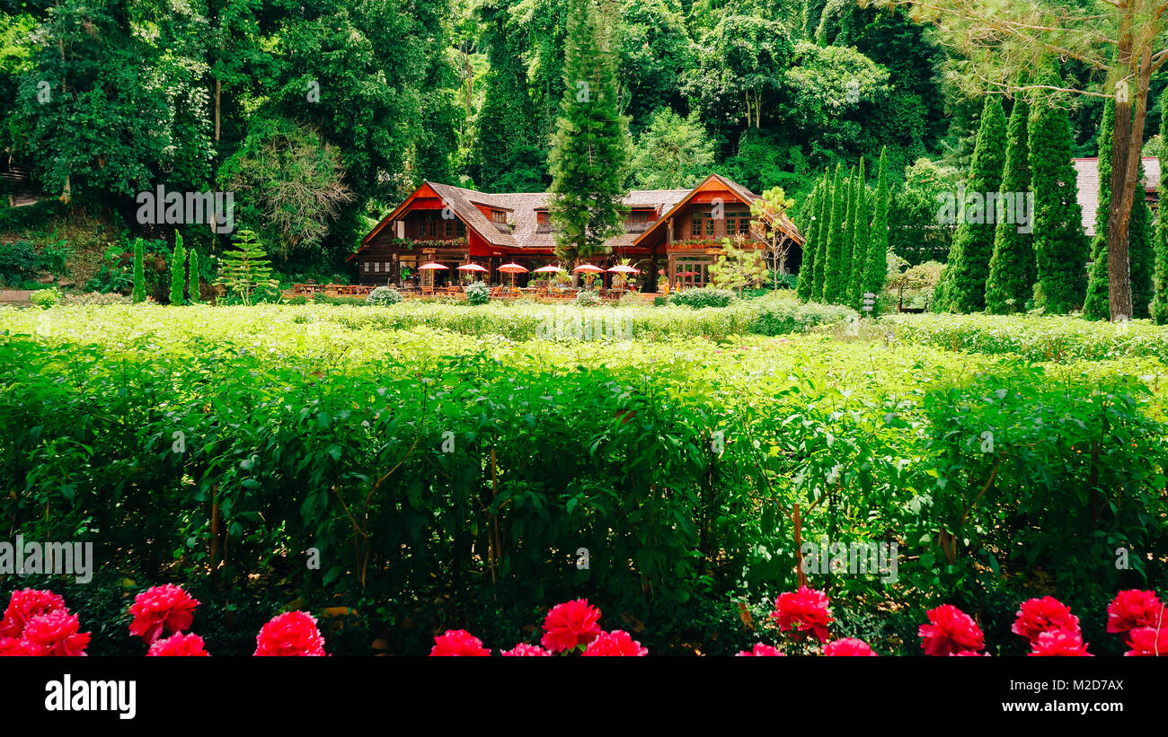 The garden is decorated in tropical jungle style for relaxation. Stock Photo
