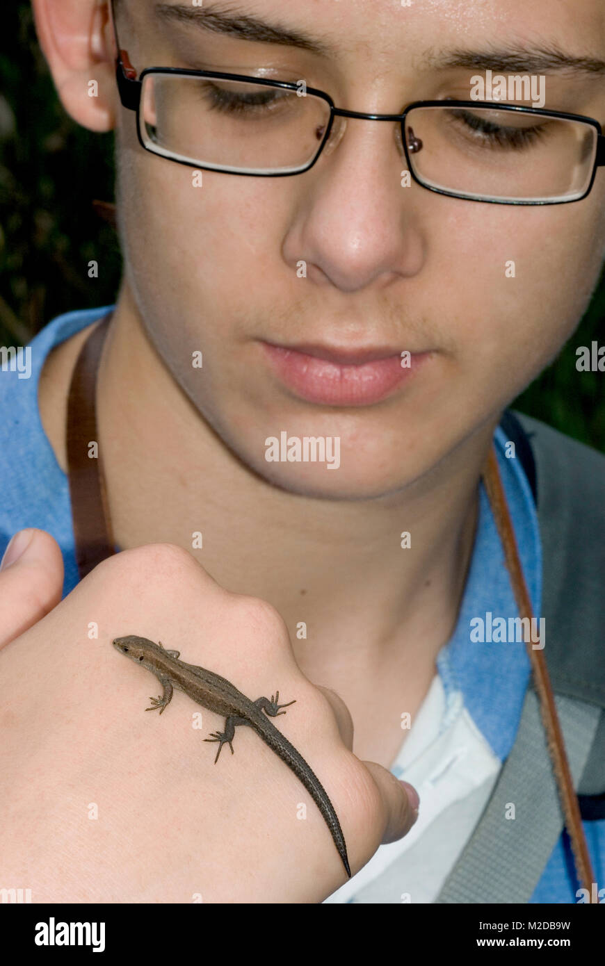 Boy with Lizard Stock Photo