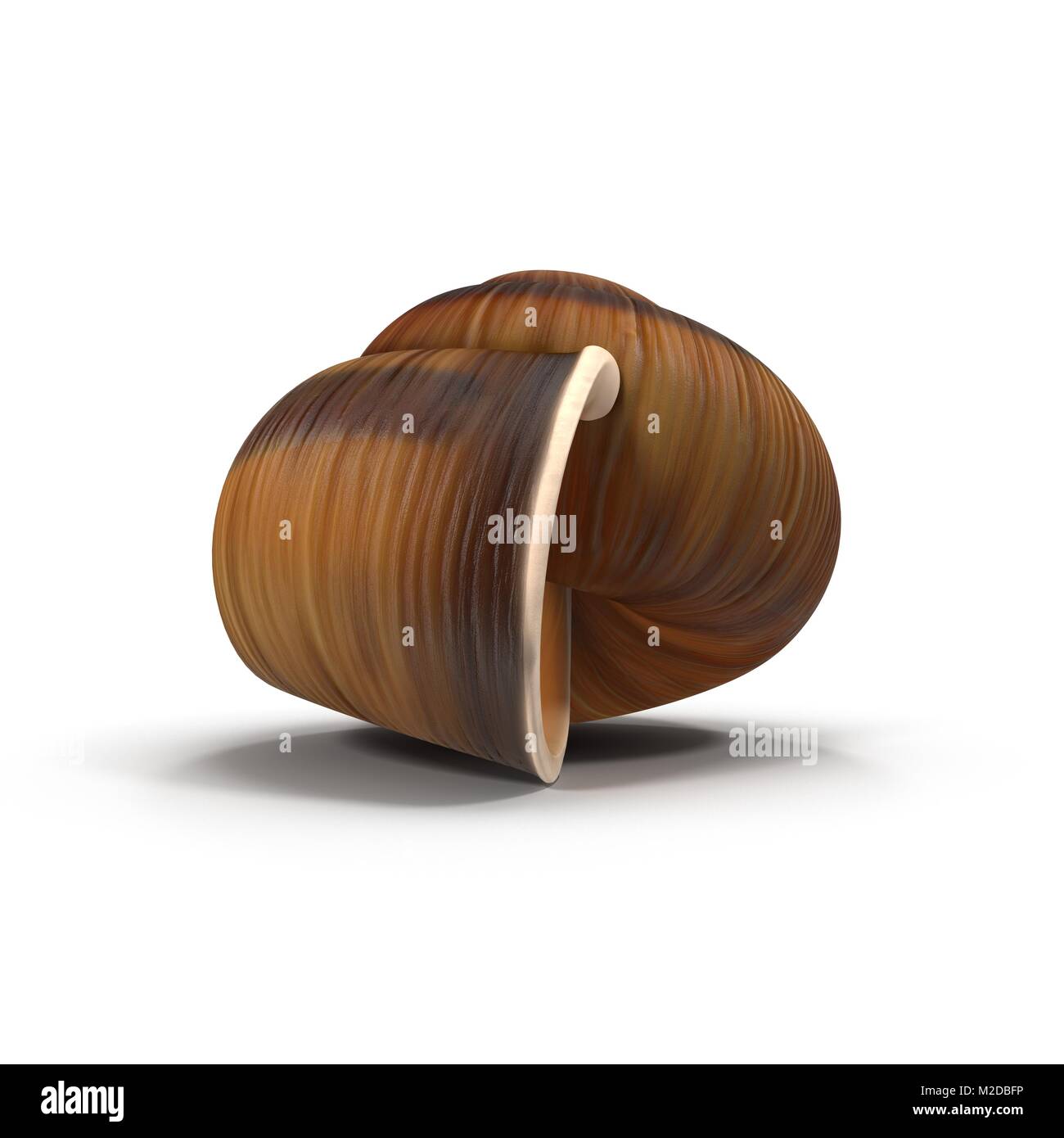single empty snail shell isolated on white. 3D illustration Stock Photo ...