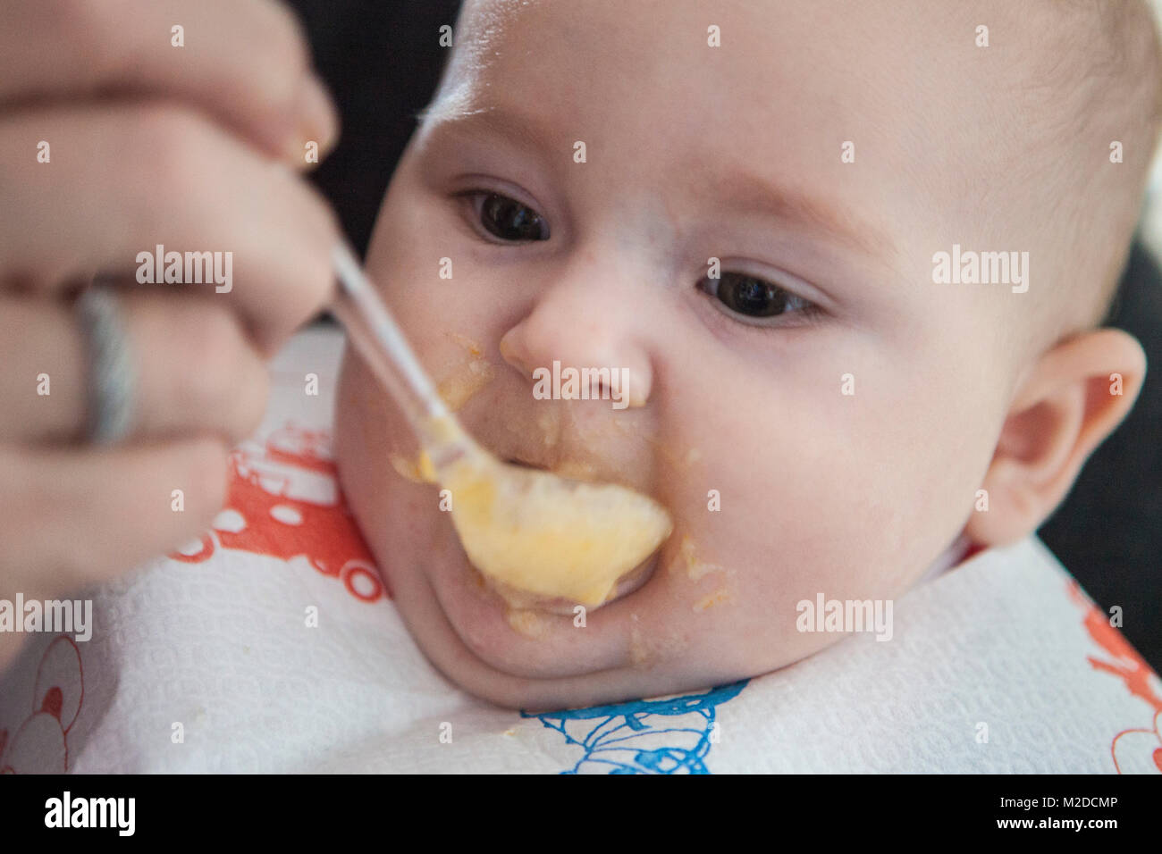 baby six months while eating pasta Stock Photo Alamy