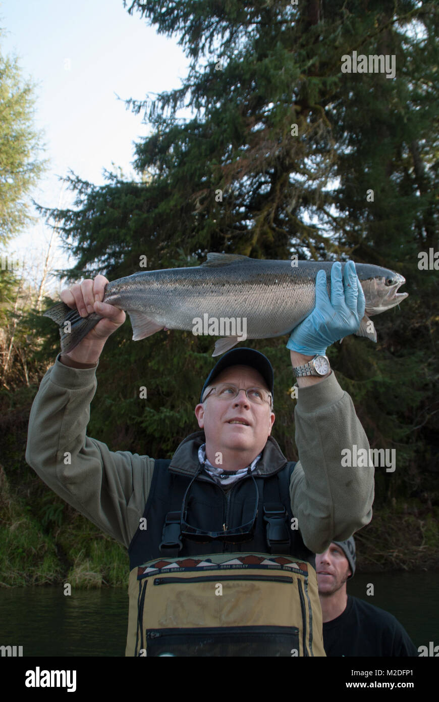Steelhead fisherman with a fresh caught hatchery raised on the Siletz River in Oregon. Stock Photo