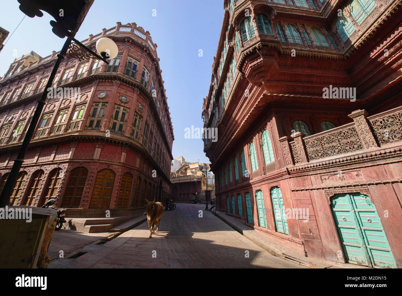Cow in front of old haveli homes, Bikaner, Rajasthan, India Stock Photo