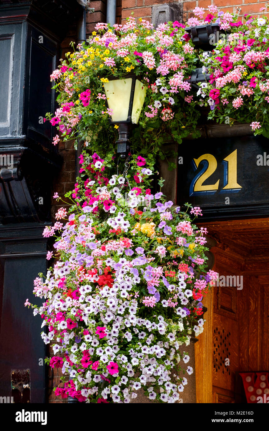 Flowers hanging near number 21 outdoors Stock Photo