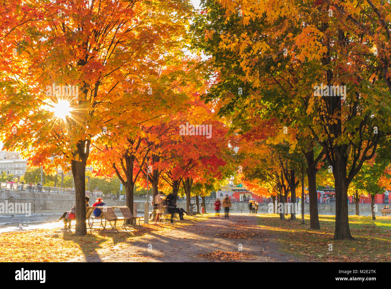 People in park in autumn Stock Photo