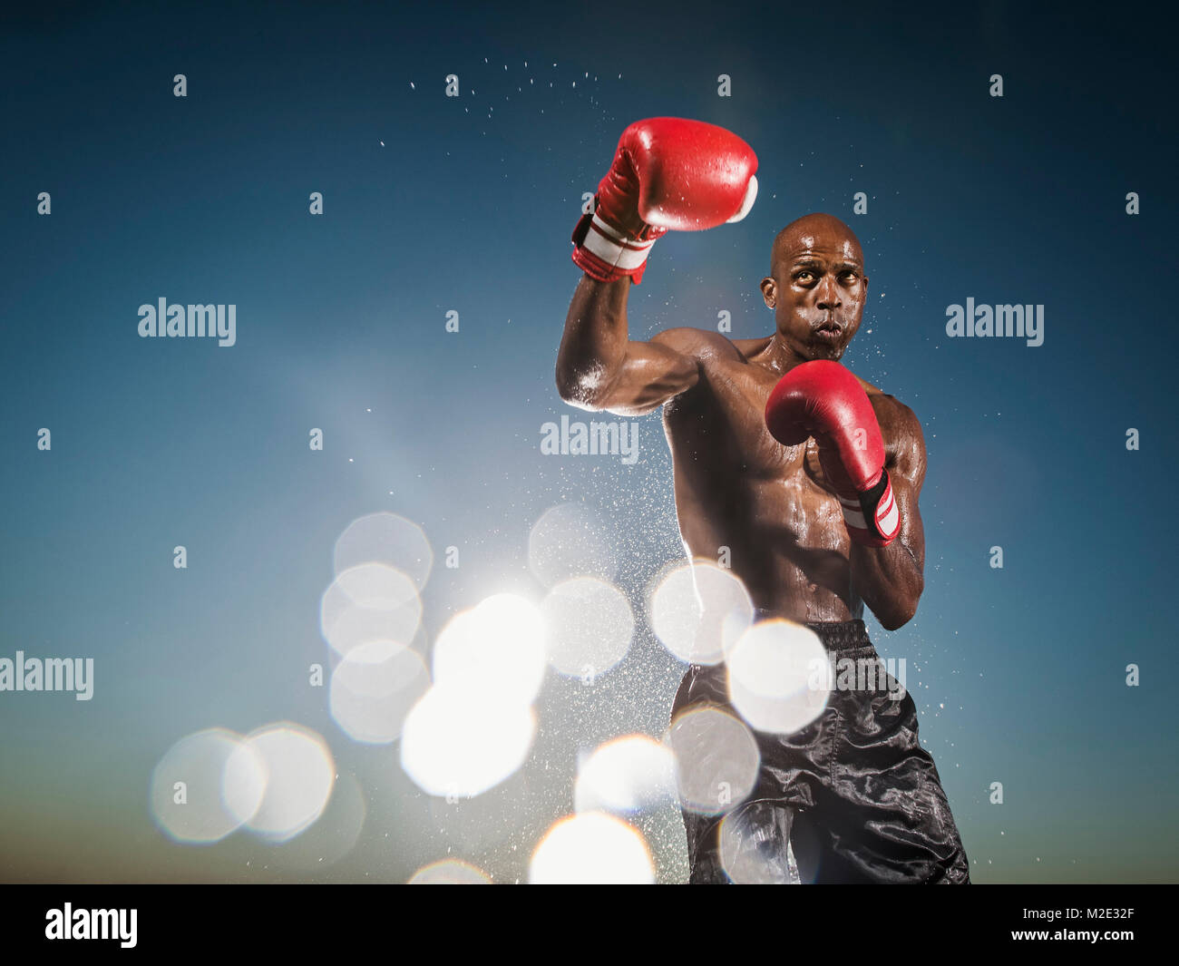 Water splashing on Black boxer Stock Photo