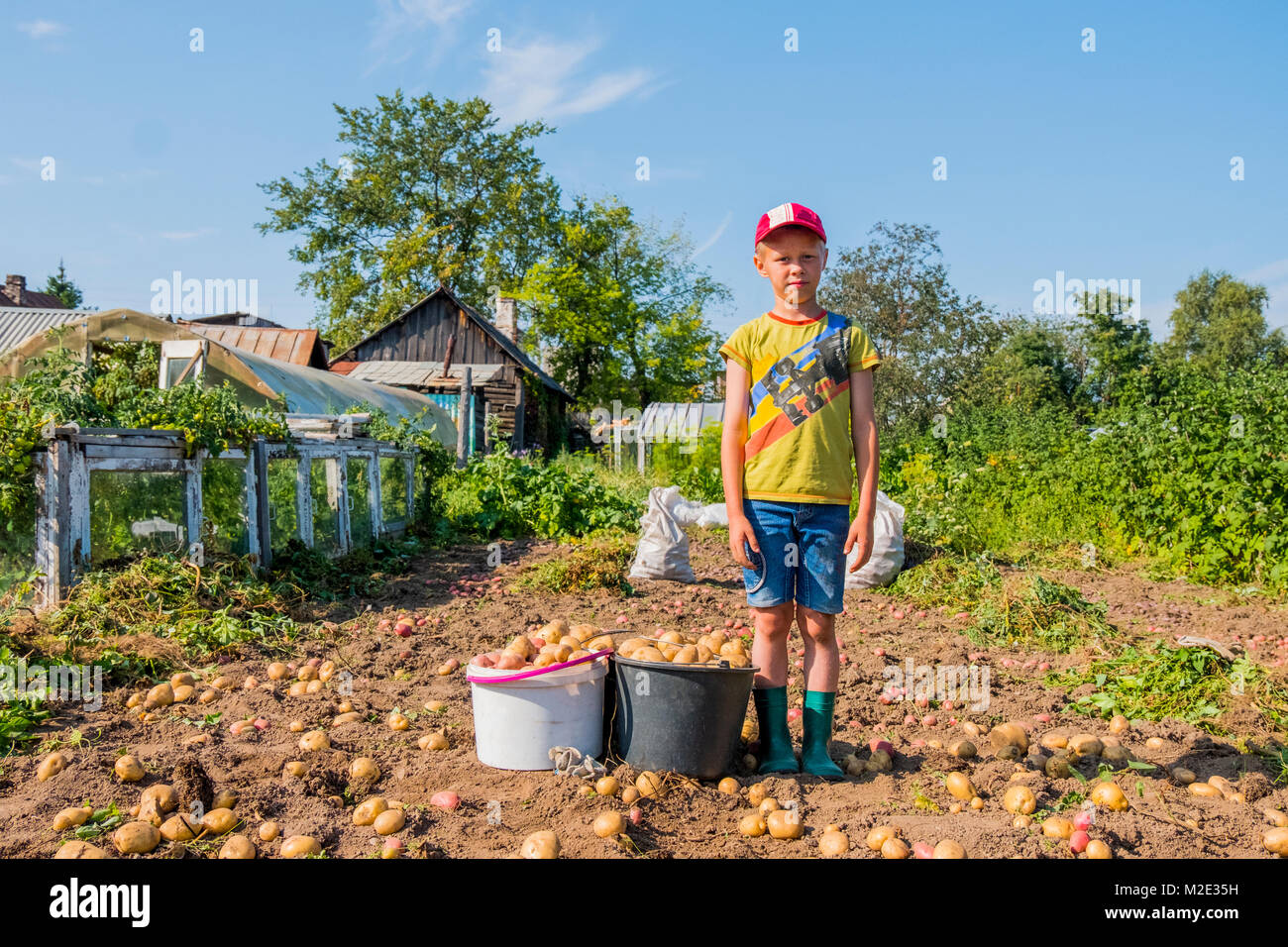 Caucasian boy standing on farm with buckets of potatoes Stock Photo