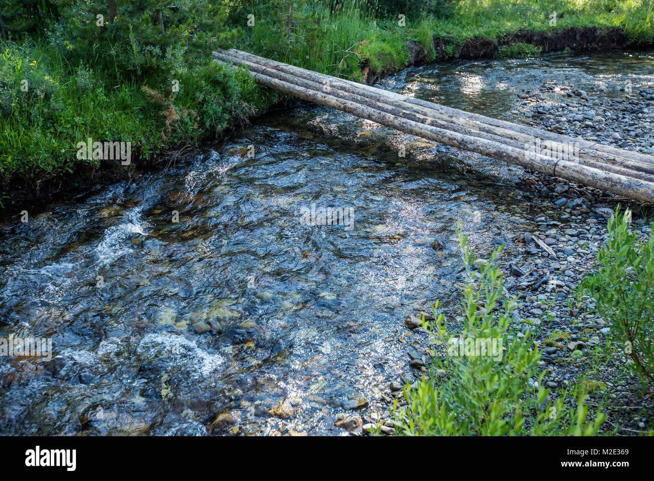 Logs forming bridge crossing river Stock Photo