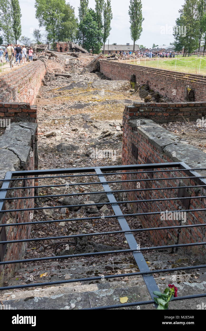 Remains of Gas Chamber, Birkenau Concentration Camp, Poland Stock Photo