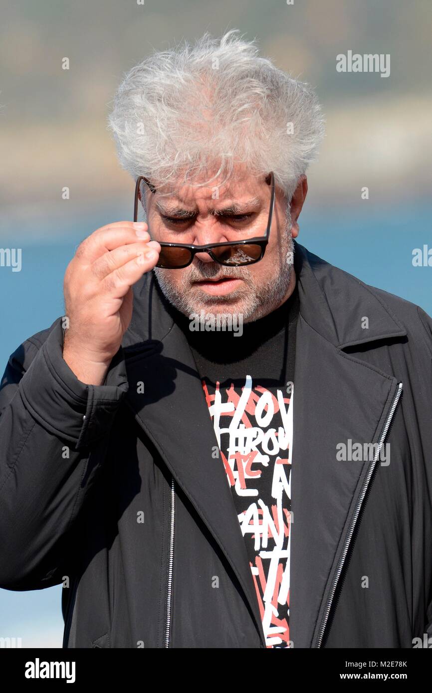 Regisseur Pedro Almodovar beim Fotocall zu 'Relatos Salvajes' im Rahmen des  Filmfestes in San Sebastian/Spanien am 25.09.2014 Stock Photo