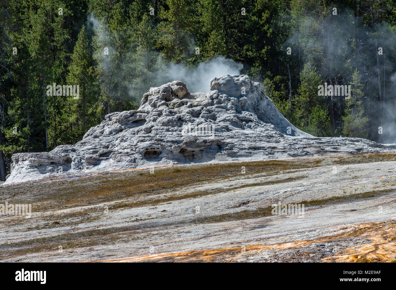 Castle Geyser formation in the Upper Geyser Basin. Yellowstone National