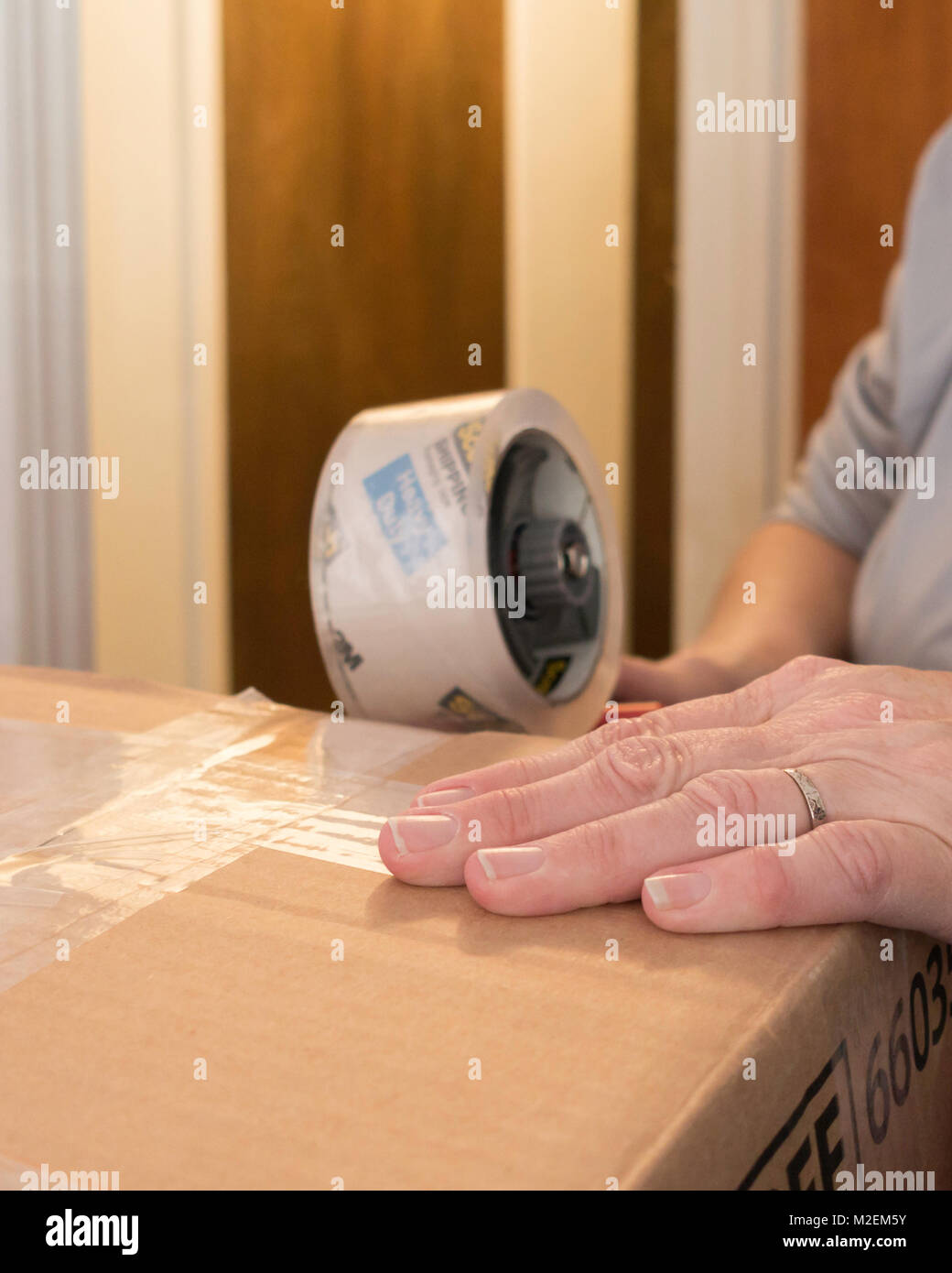 A Caucasian woman holds a moving box closed and uses a cellotape gun to seal. Oklahoma, USA. Stock Photo