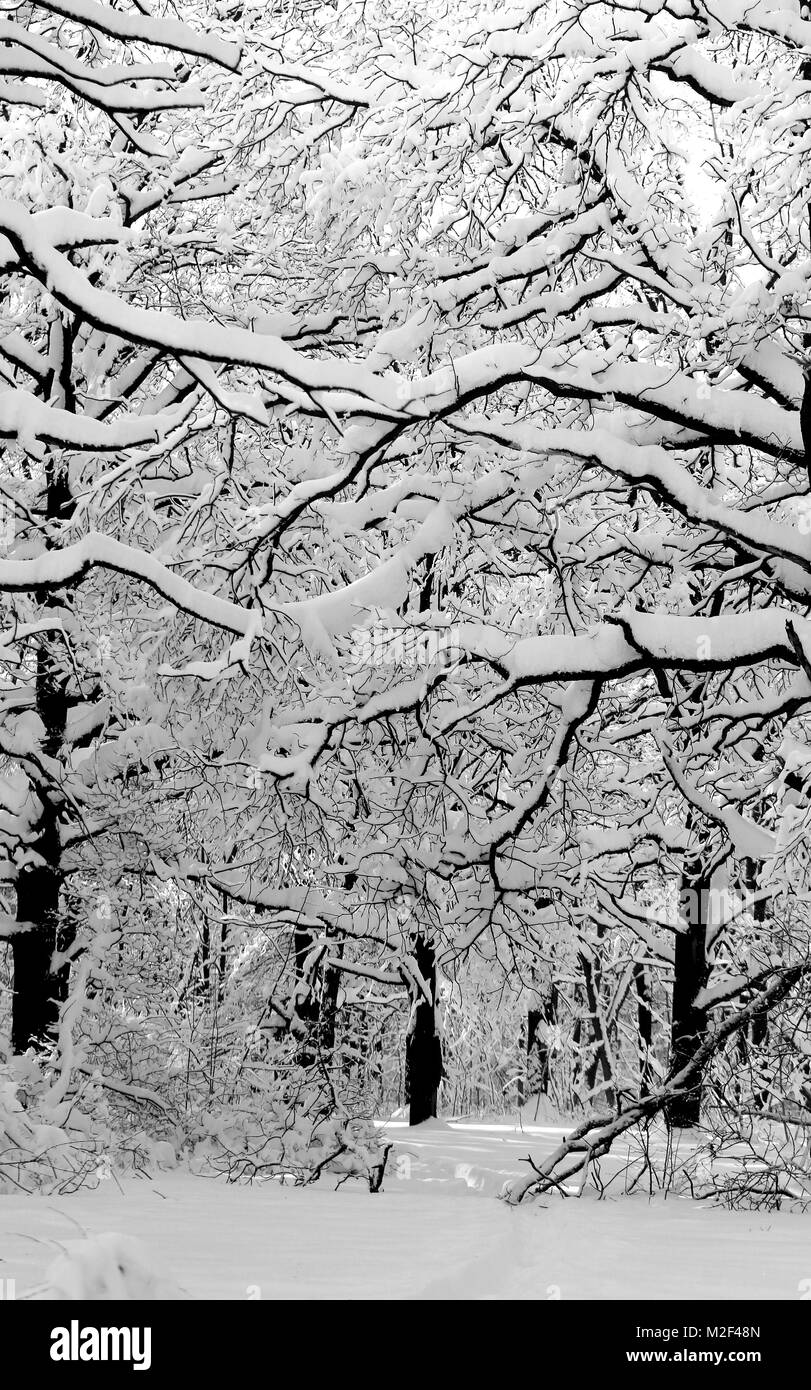 Landscape photo of the year Black and White Stock Photos & Images - Alamy