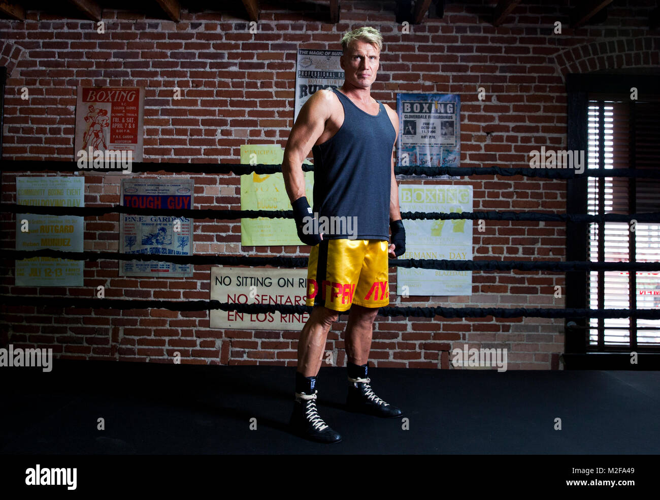 Los Angeles, California, USA. 9th June, 2015. DOLPH LUNDGREN Swedish actor, director, screenwriter, producer, and martial artist, works out in a gym. Credit: Brian Lowe/ZUMA Wire/ZUMAPRESS.com/Alamy Live News Stock Photo