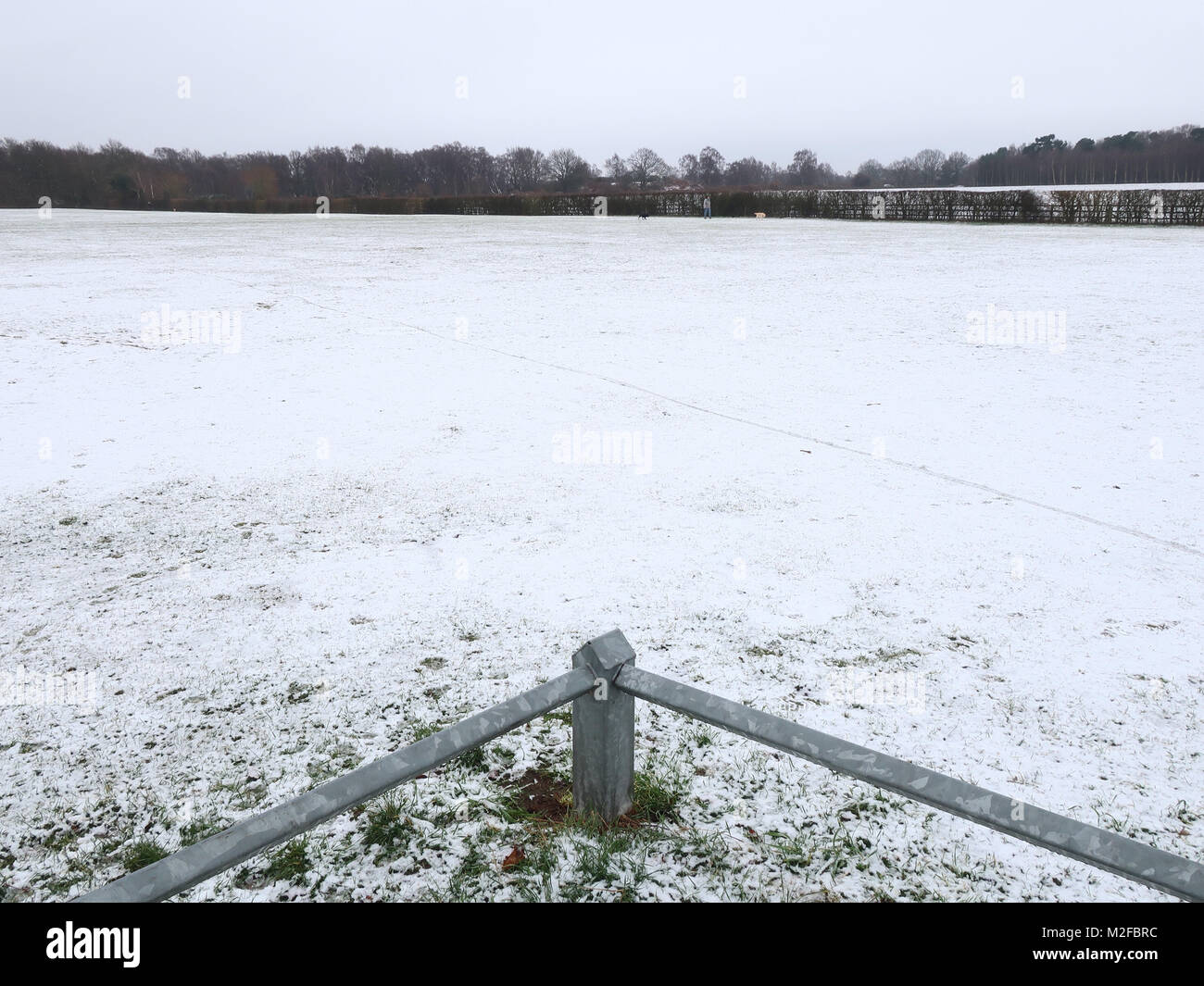 Angela chalmers hires stock photography and images Alamy