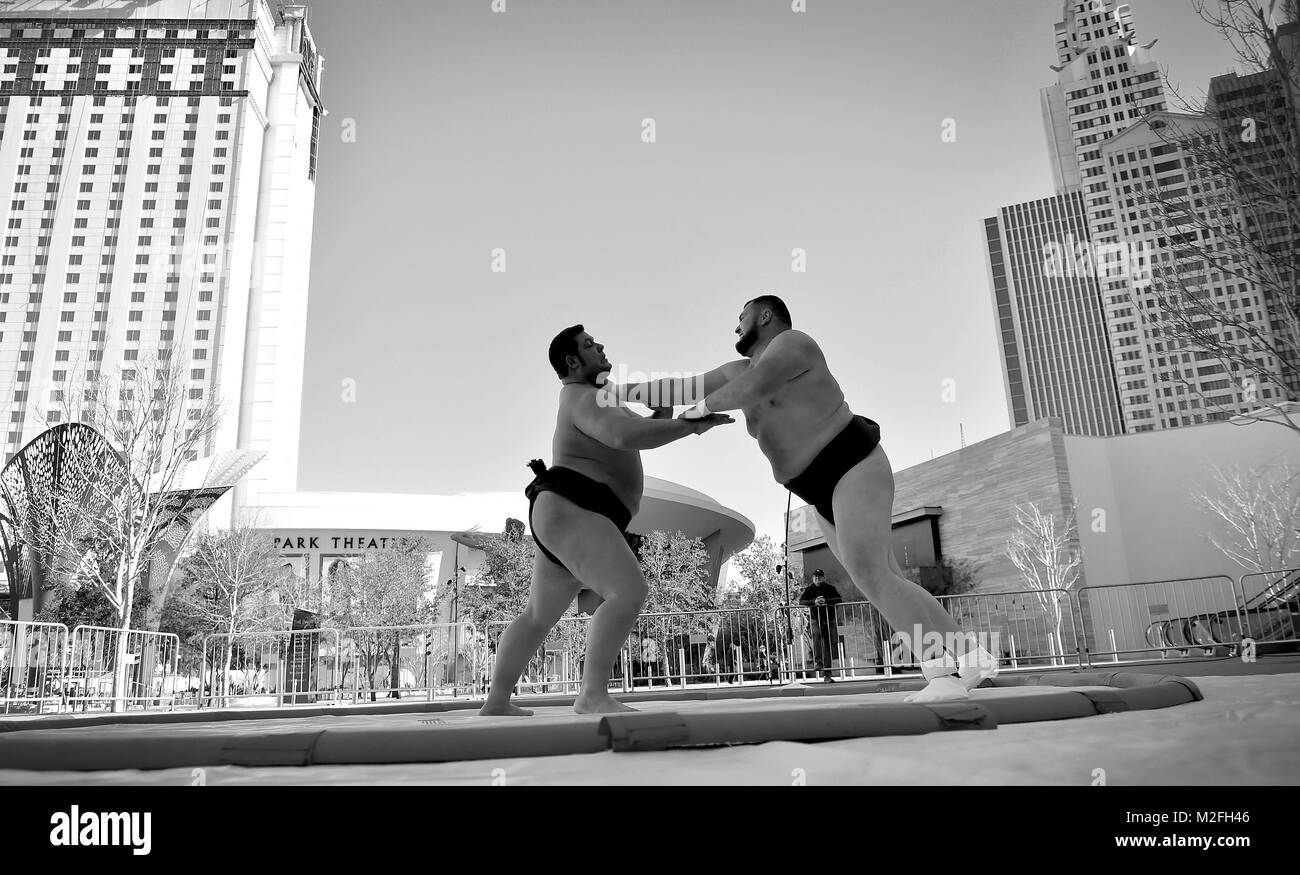 Las Vegas, Nevada, USA. 7th Feb, 2018. Twelve-time U.S. Sumo Champion Dan Kalbfleisch (L) of Los Angeles and Japanese professional sumo Soslan Gagloev of Russia stage a demonstration during a news conference announcing the Ultimate Sumo League debut event scheduled for April 28 in Las Vegas. The newly created professional sports league plans 20 competitions in the United States, Europe and throughout the world in 2018. Credit: David Becker/ZUMA Wire/Alamy Live News Stock Photo