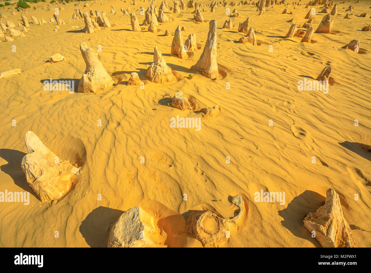 Pinnacles Desert aerial Stock Photo