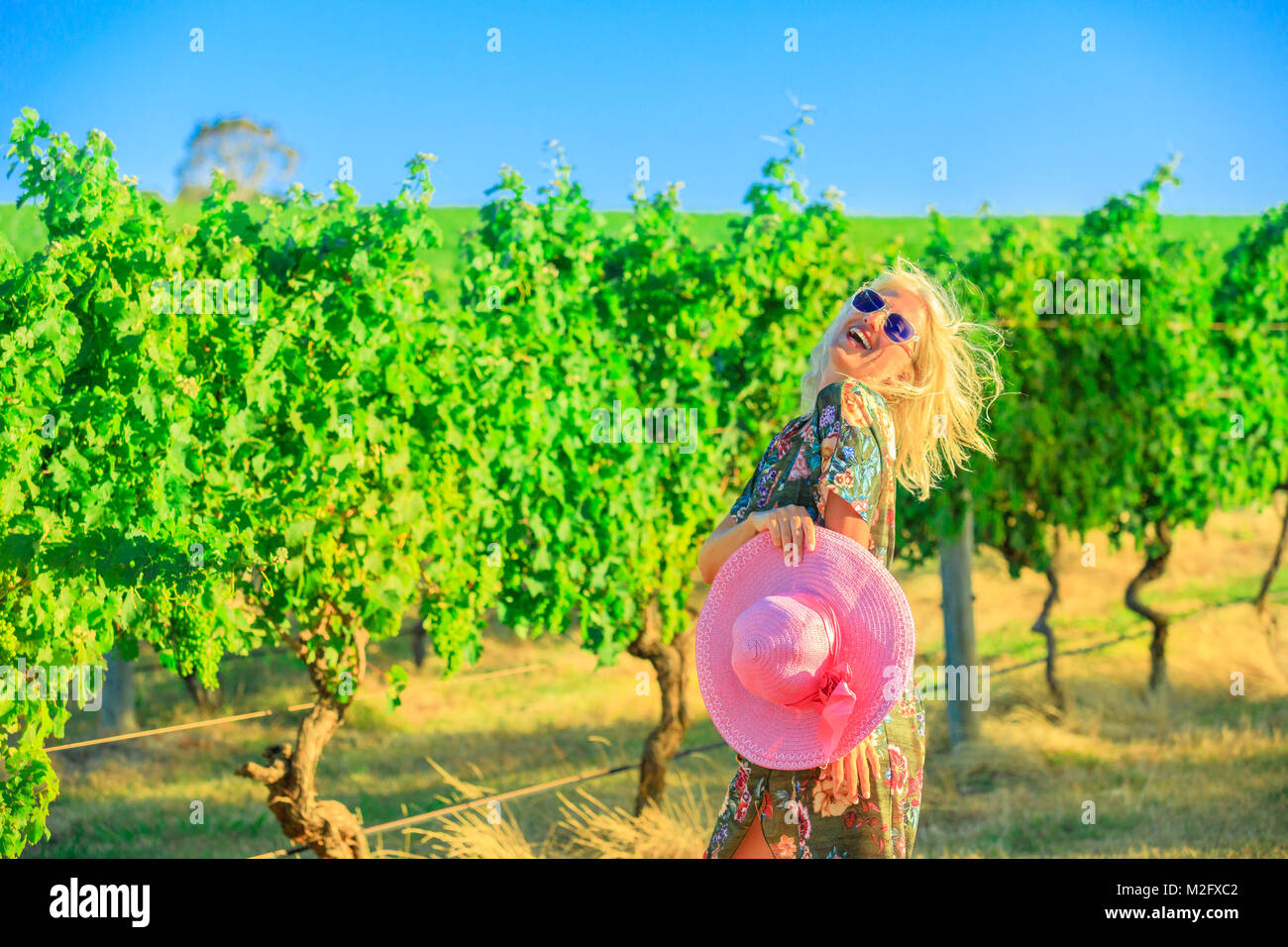 Vineyard tourism West Australia Stock Photo