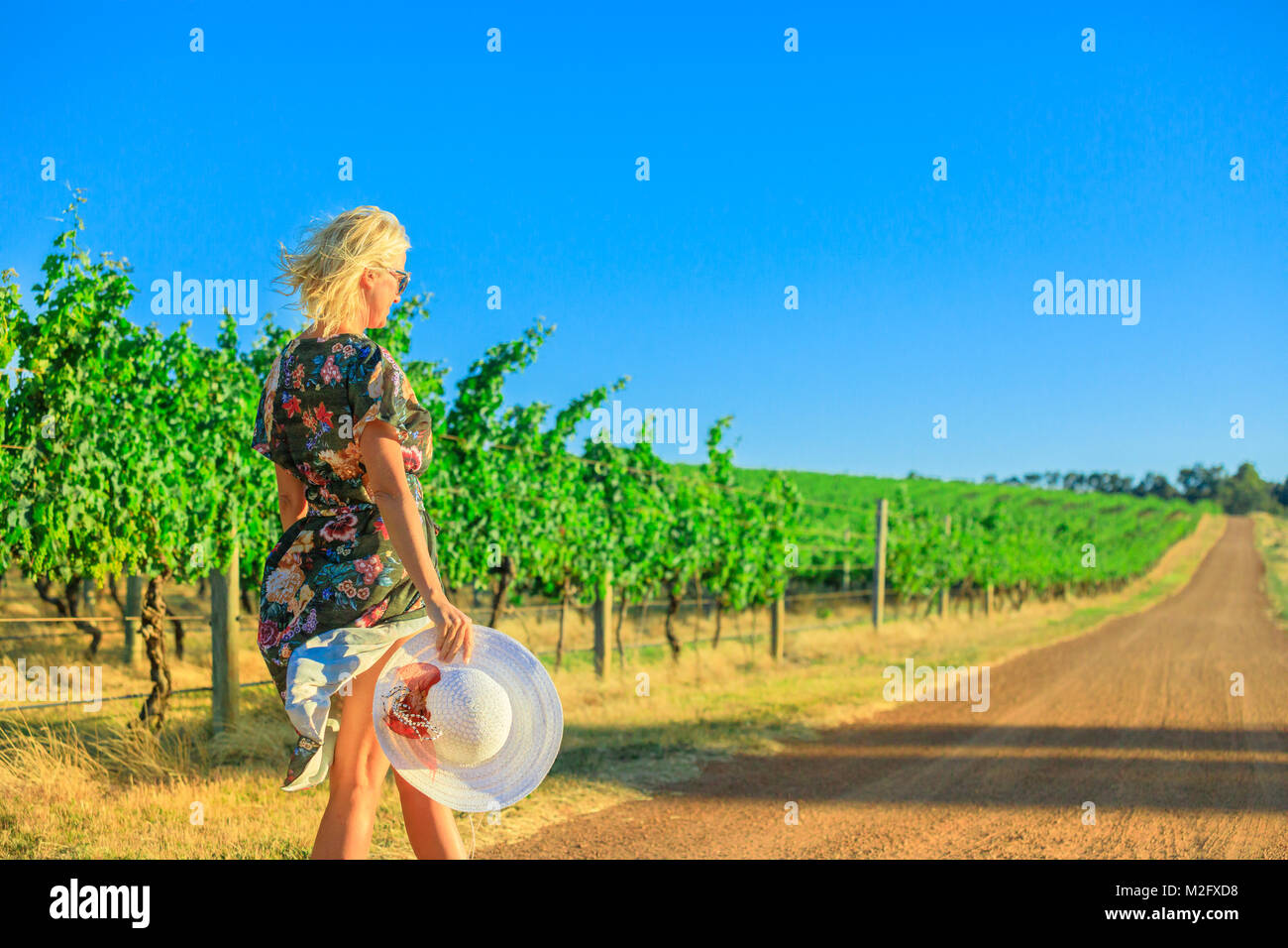 Wine tasting Western Australia Stock Photo