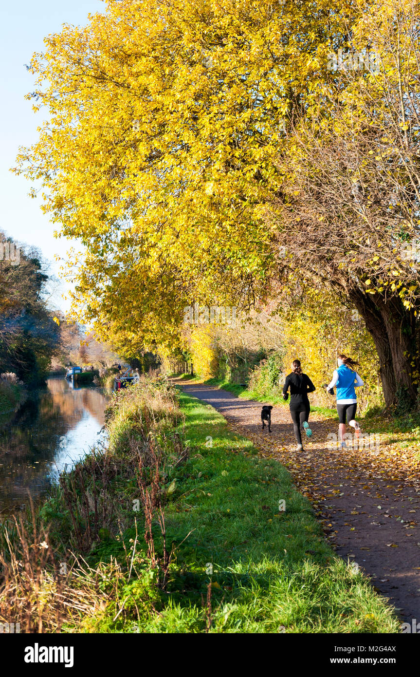 Joggers running along towpath of Kennet and Avon Canal at Bathampton, Bath, Somerset, England, UK Stock Photo