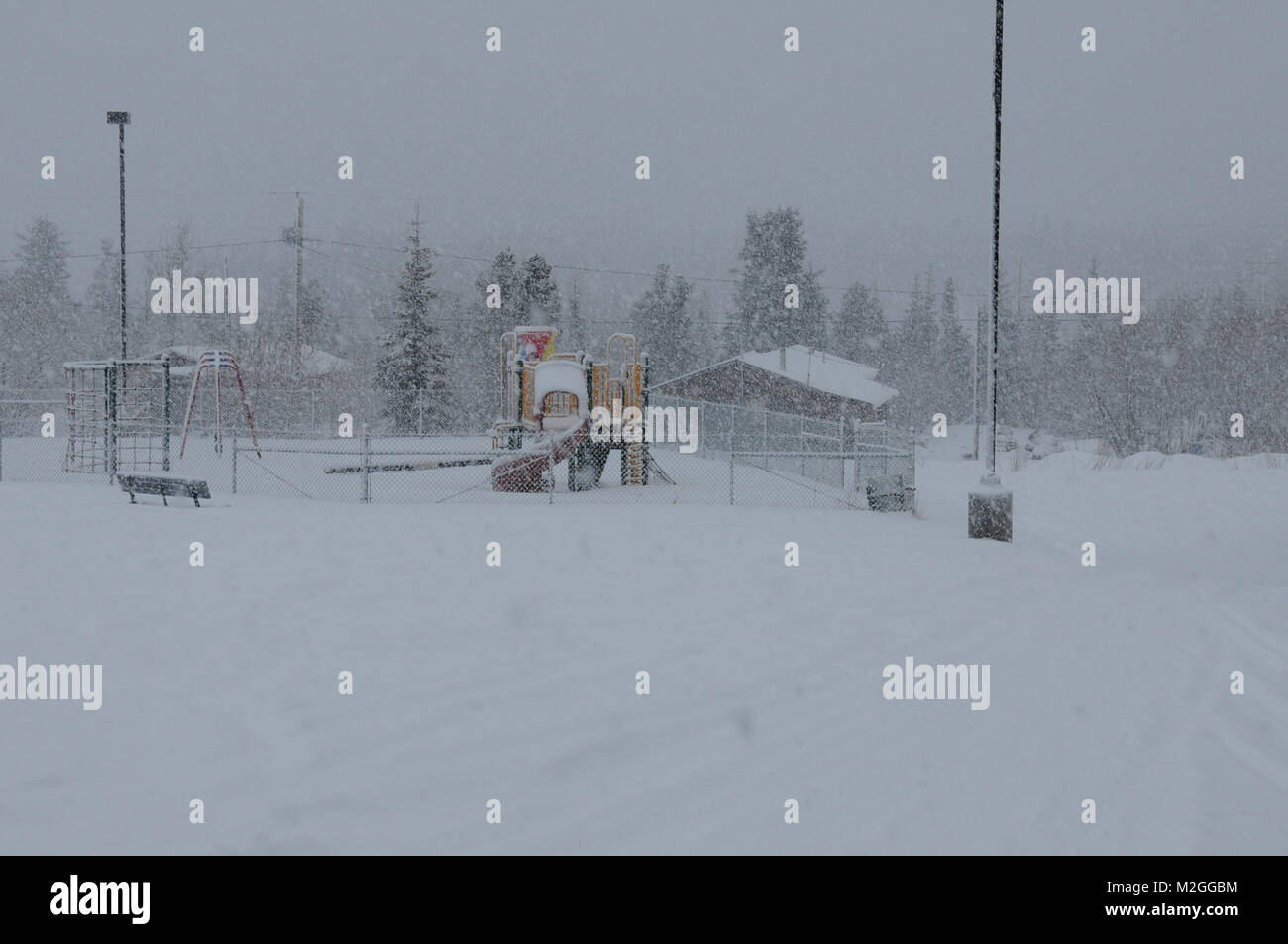 Ambler Snow by 807MCDS Stock Photo