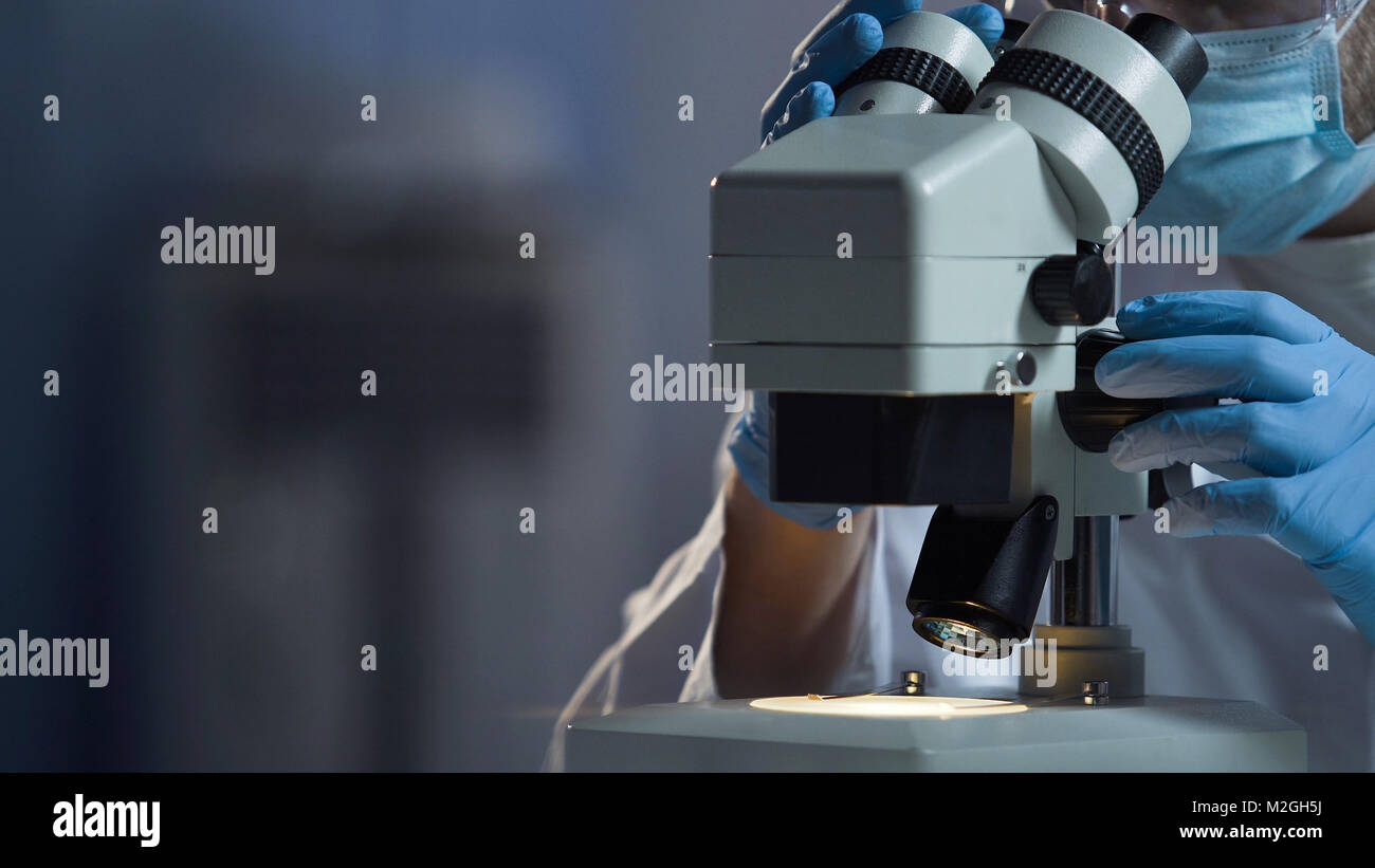 Bacteria under microscope hires stock photography and images Alamy