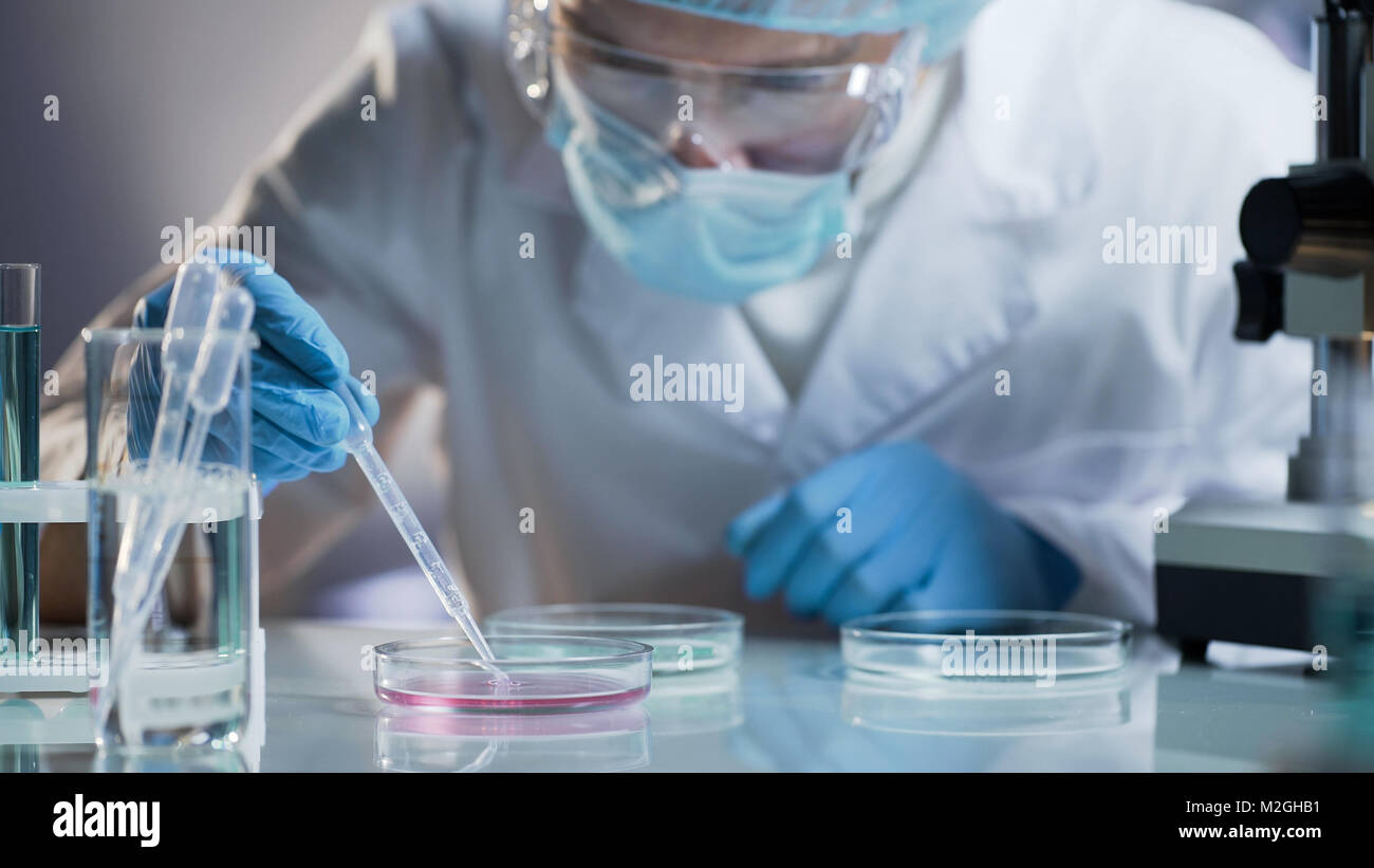Scientist carefully carrying matured cell to another plate, conducting research, stock video Stock Photo