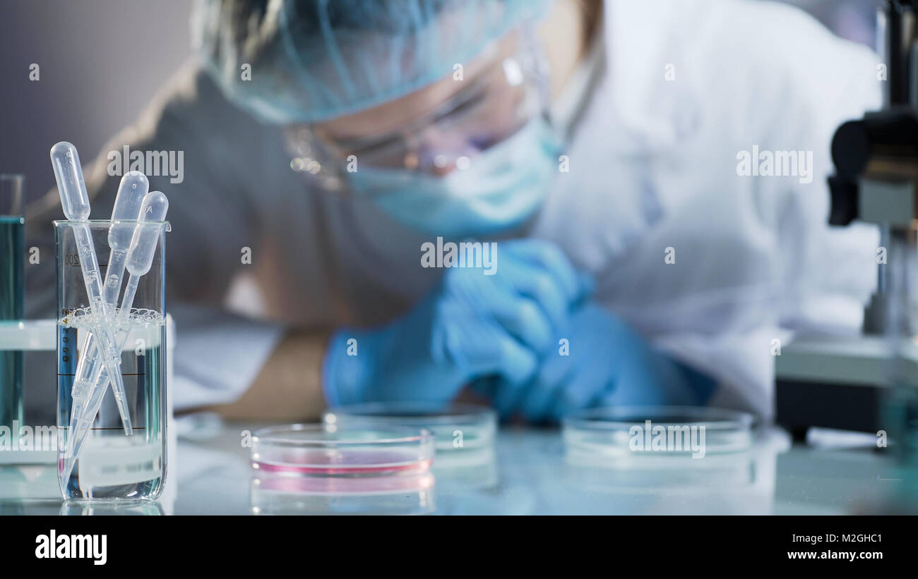 Scientist carefully examining matured cell at petri dish, conducting research, stock video Stock Photo