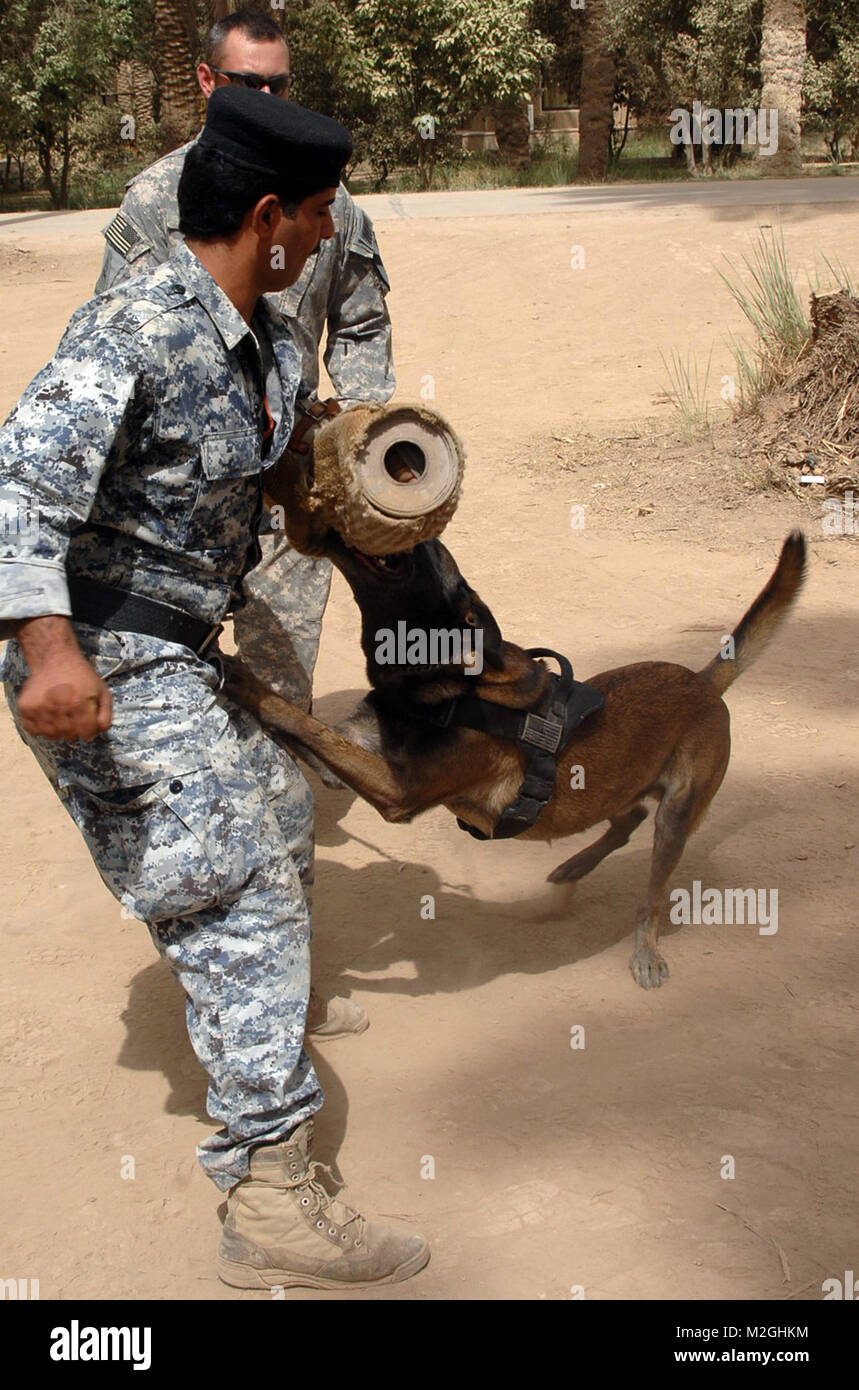 Protected by United States Forces - Iraq (Inactive Stock Photo - Alamy