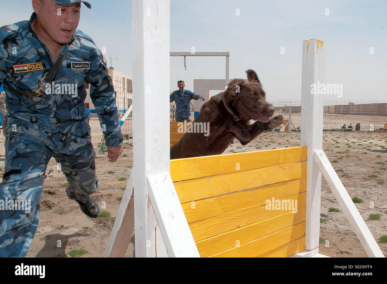 A dog handler with the Iraqi Police Al Anbar K-9 unit in Ramadi, Iraq, runs his dog, Sassy, a chocolate Labrador retriever, through an obstacle course during training April 16, 2010. The obstacle course is designed to keep the bomb-sniffing dogs healthy and agile. (U.S. Army photo by Sgt. Michael J. MacLeod, 1/82 AAB, USD-C) Chocolate and the obstacle course by 1st Armored Division and Fort Bliss Stock Photo